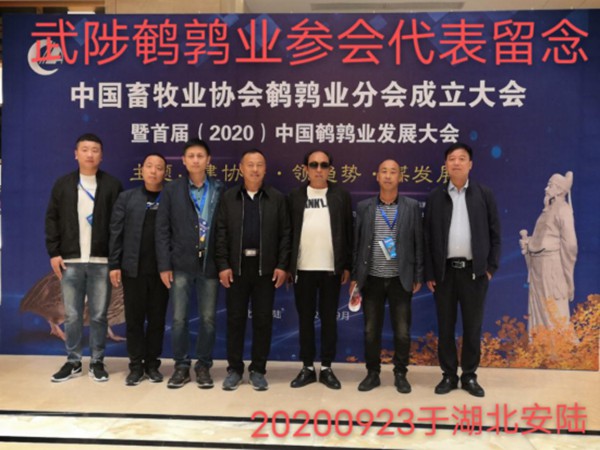 這一年，謝謝自己155