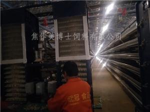 全自動(dòng)鵪鶉養(yǎng)殖200萬只規(guī)模使用美博士鵪鶉飼料